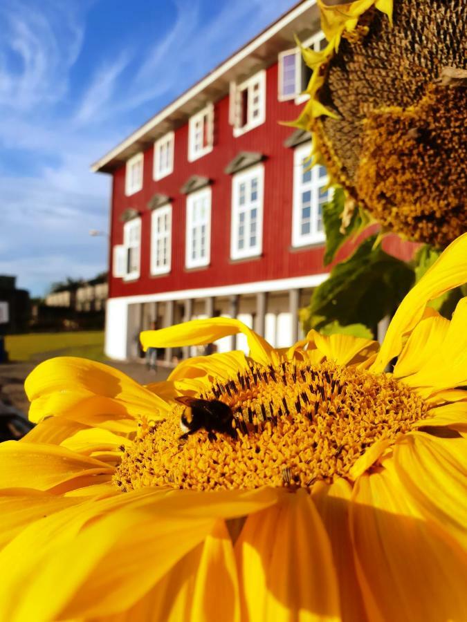 Oslo Hostel Ronningen Экстерьер фото